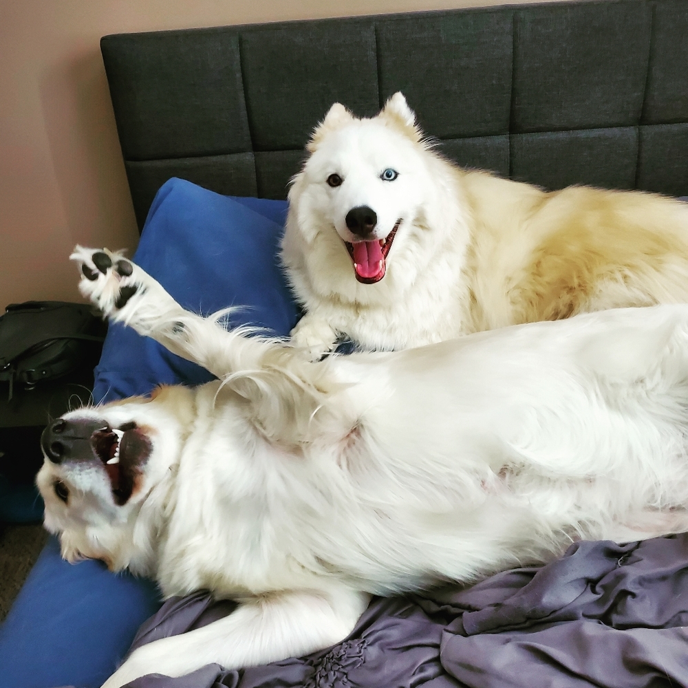 Pic for attention- ISO!!